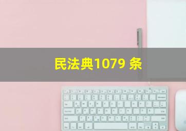 民法典1079 条